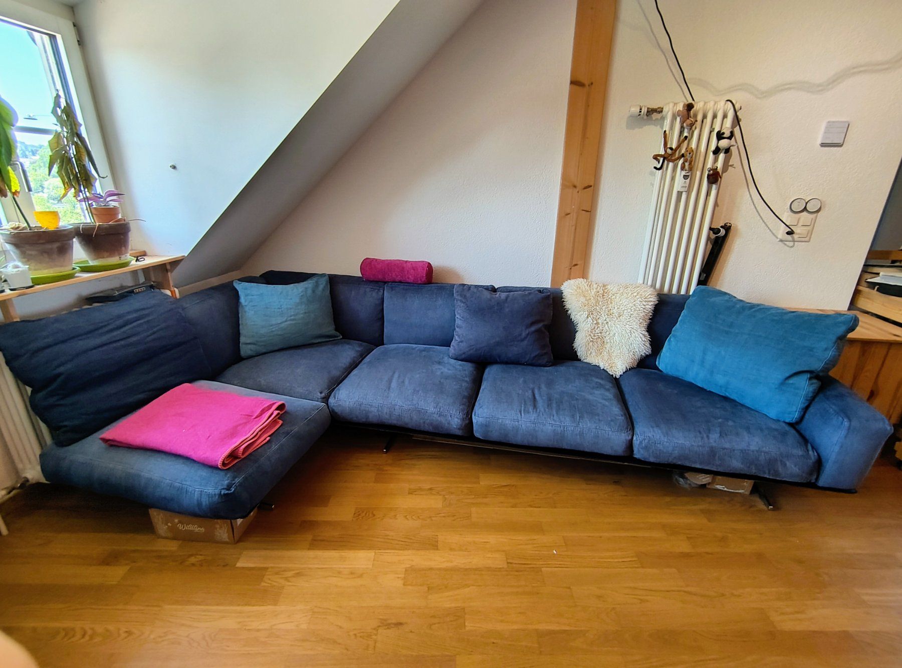 Flexform Sofas: Flexform Soft Dream Designer-Sofa – Gebraucht aus Bern von bra_l8xk