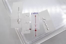 Tudor Prince date Chronograph Hands set Luminova 79260