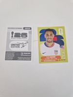 Panini Sticker USA8
