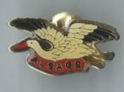 Storch, Pin