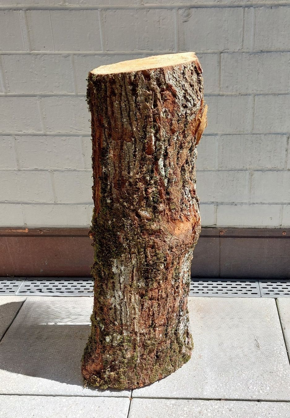 Holzartikel: Brennholzstamm für Chemine, Deko, Rundholz oder Scheitstock – Neu (gemäss Beschreibung) aus Bergdietikon von lop01 1