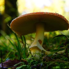 Profile image of Wirglauben2