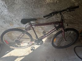 Canadisches Mointain bike 2000er