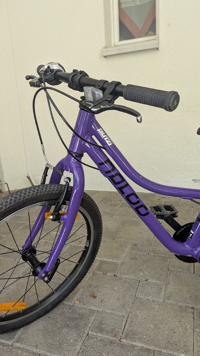 Naloo Biciclette: Naloo 20 Zoll – Usato da Rüti ZH venduto da S_Like 1
