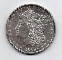 (2531) USA, 1 Dollar, 1886, fast stgl