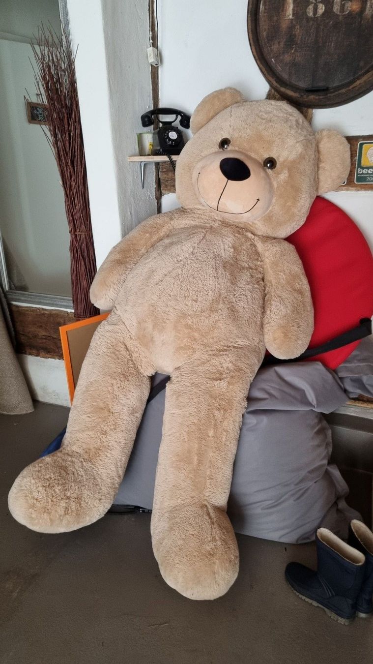 Puppen: Riesenbär – Gebraucht aus Neftenbach von HUS12