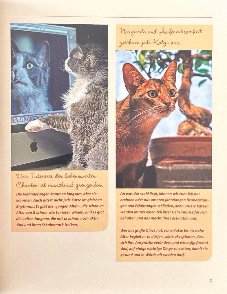 Bücher: Unsere Katze wird alt – Gebraucht aus Sarnen von Livres 5