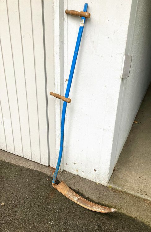 Sense Kaufen auf Ricardo
