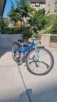 20 Zoll Kokua Kindervelo