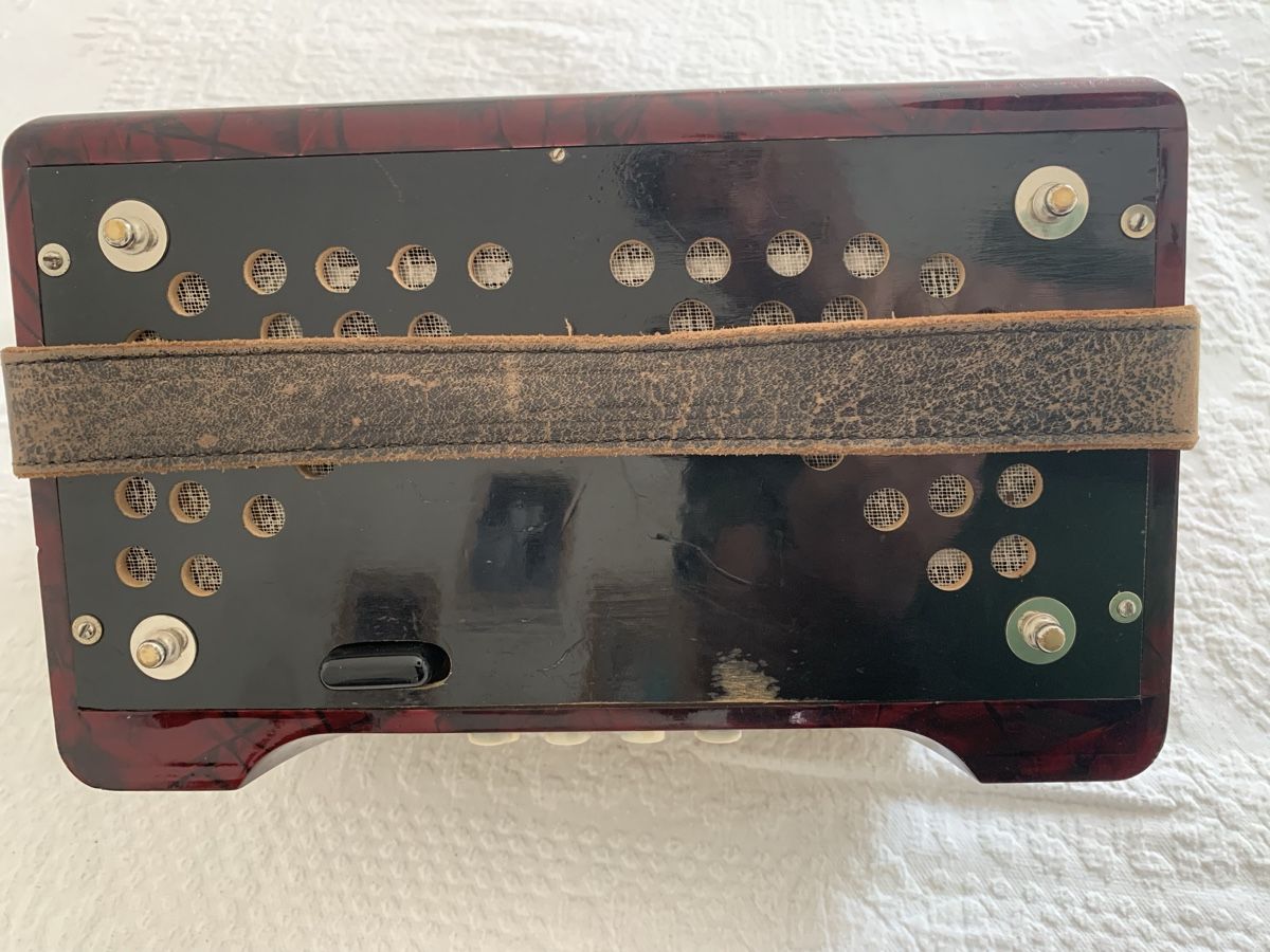 Hohner Strumenti musicali: Diatonische Handorgel/Concertina Sol – Usato da Zürich venduto da Olimpied 5