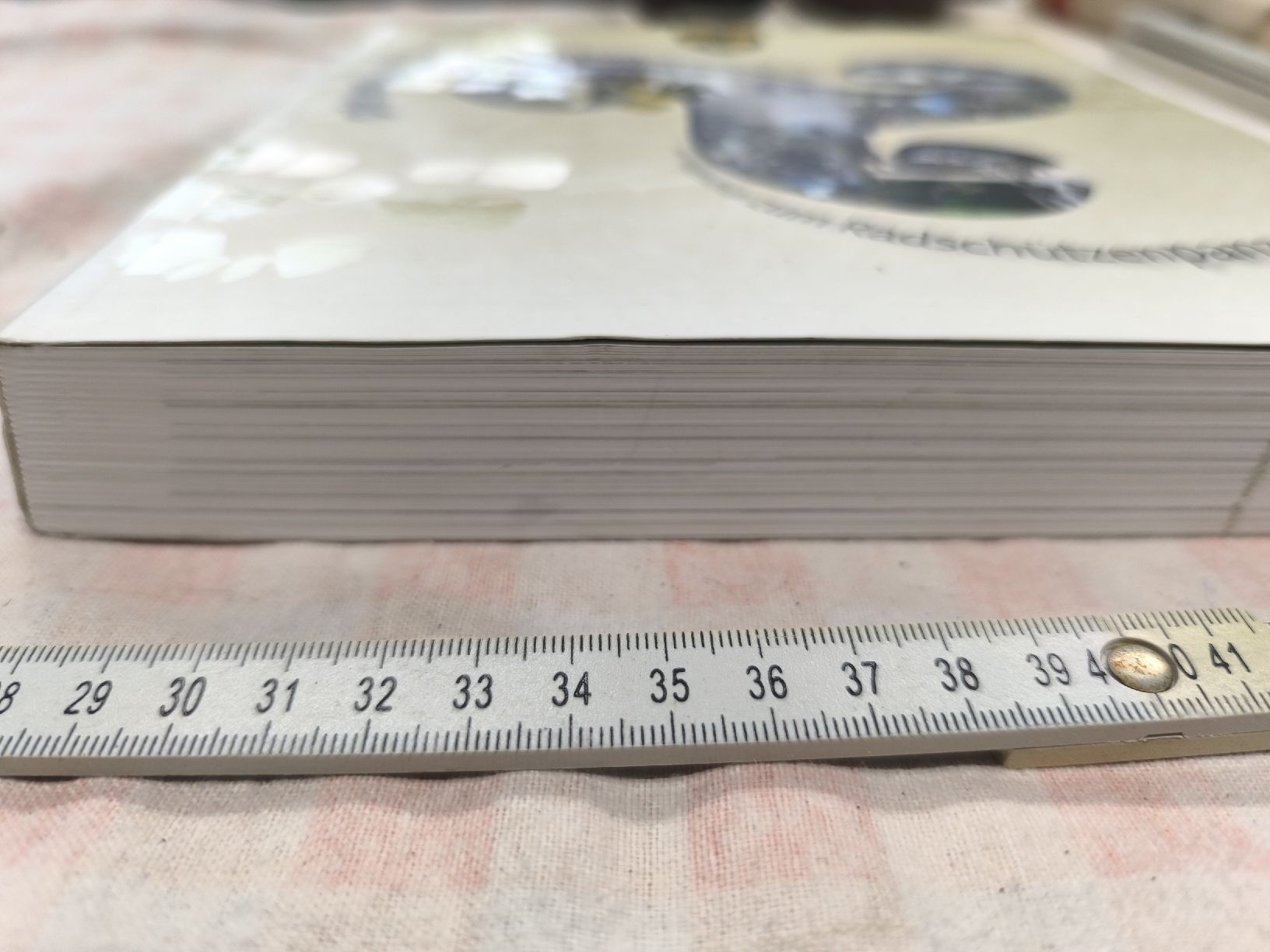 Bücher: Schweitzer Armee..Die Infanterie:Tradition und Fortschiftt – Gebraucht aus Cama von anto_a 1