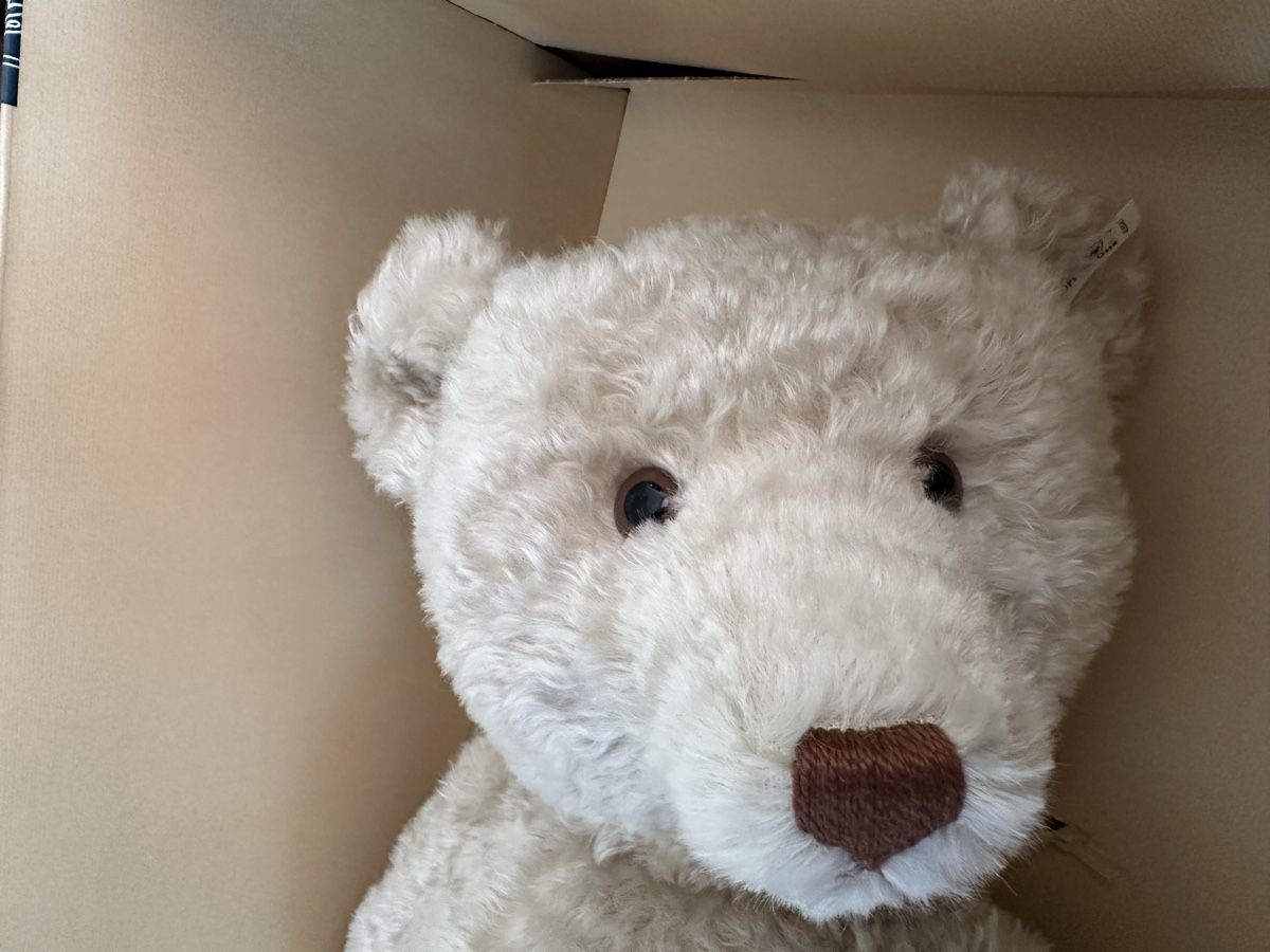 Steiff Spielzeuge: Steiff Teddy 65 cm 1908 rep. Mohair  – Neu und originalverpackt aus Herbriggen von Sehrazade 4