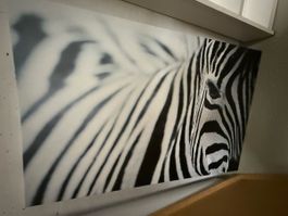 Bild Ikea Zebra