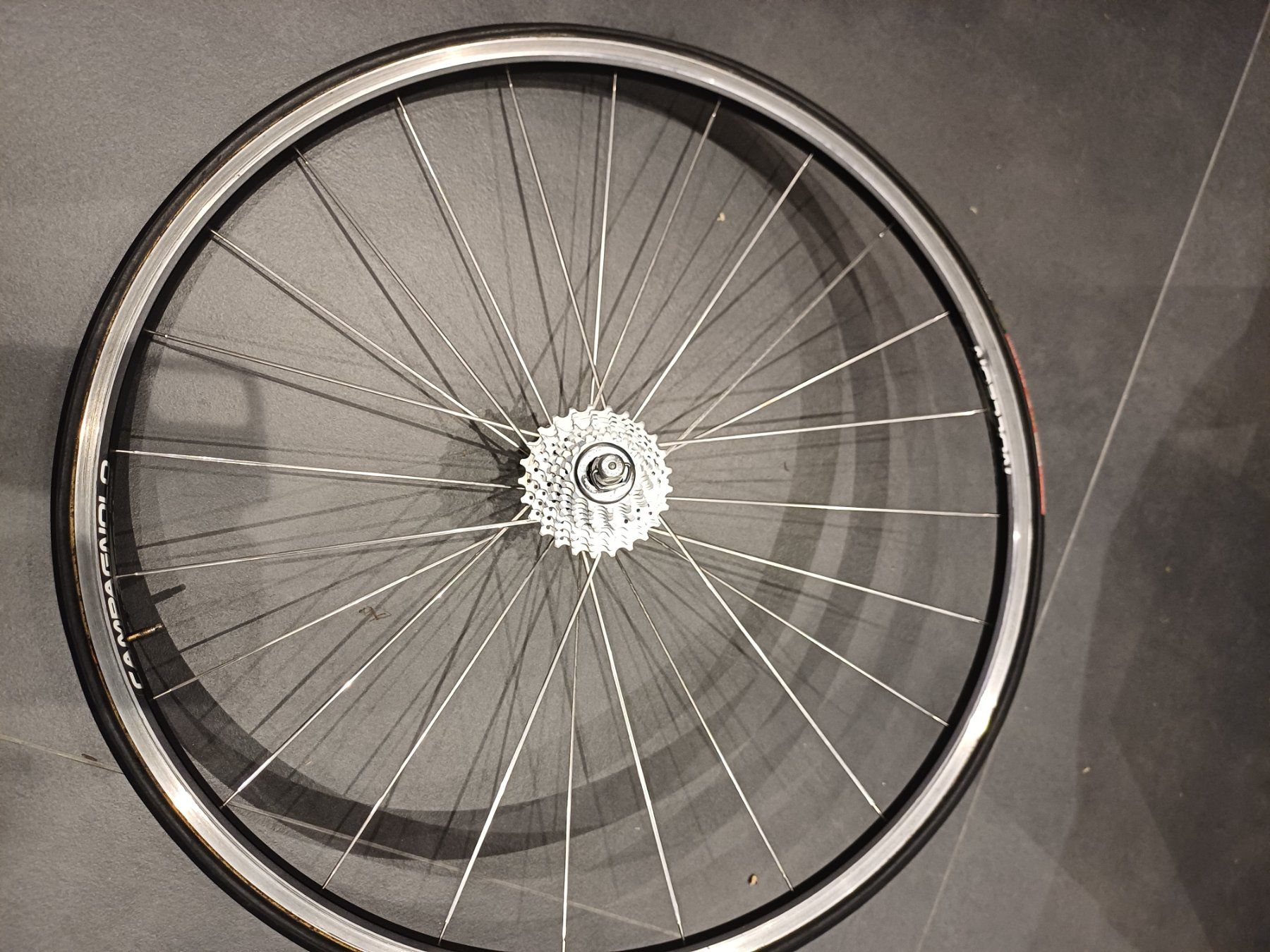 Pneumatici & Ruote complete: Campagnolo Nucleon Laufräder – Usato da Säriswil venduto da silberstift 4