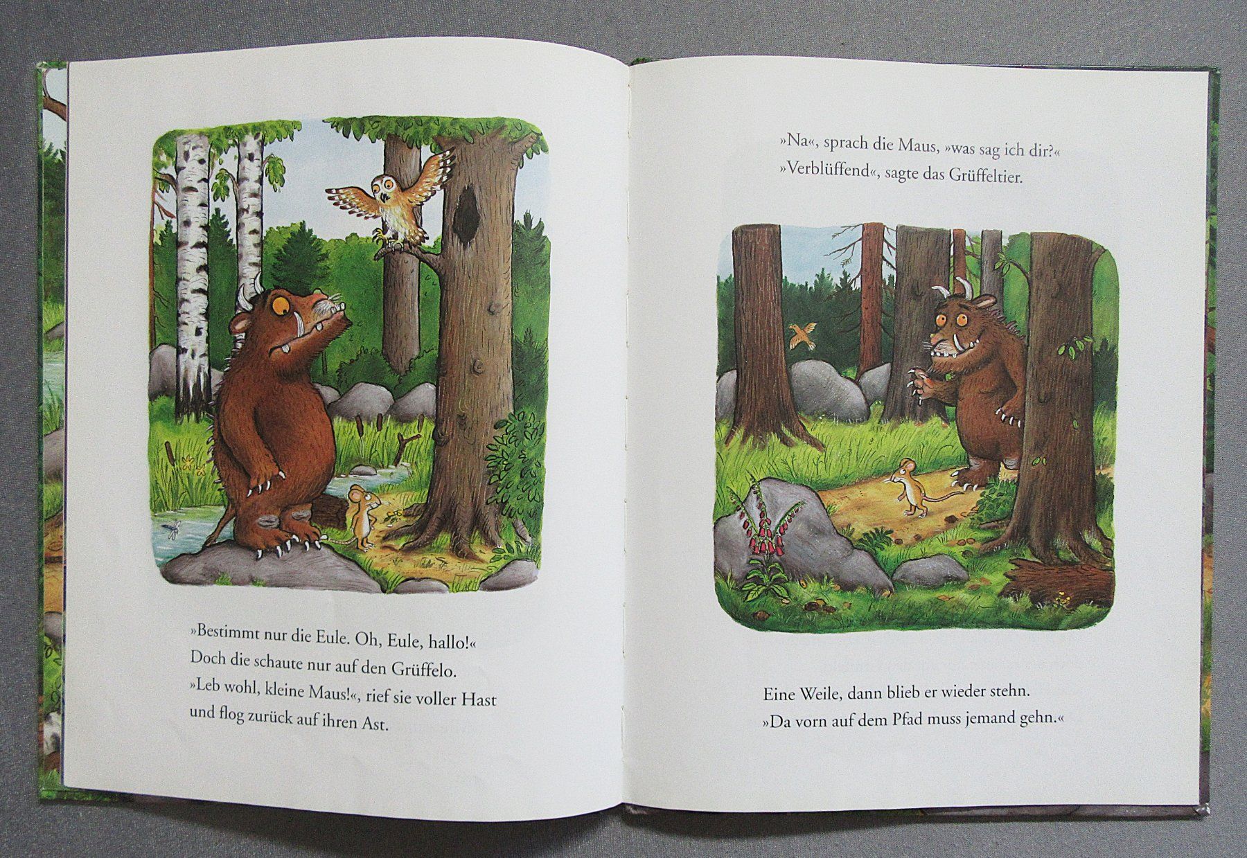 Libri: Der Grüffelo - Bilderbuch mit Bildern von Axel Scheffler – Usato da Auenstein venduto da Padabimbim 7