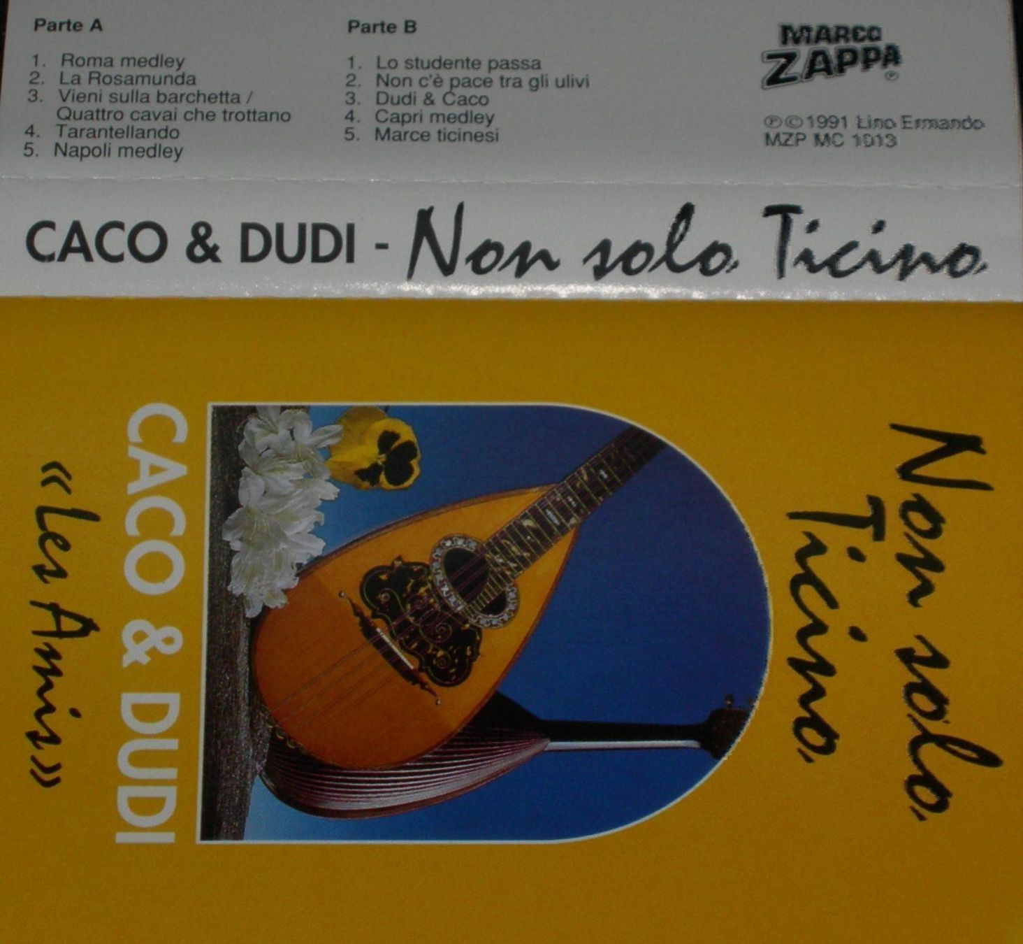 Musicassette: NON SOLO TICINO MC.Cassette – Nuovo e nell'imballaggio originale da Ascona venduto da he9fabus 6