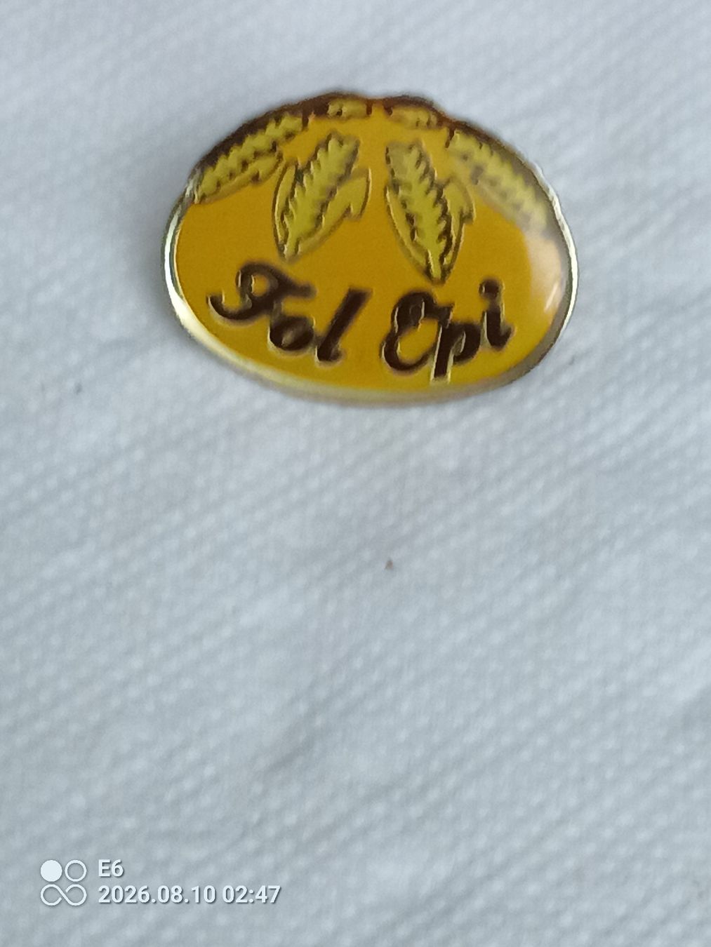 Placchette & Badge: Pin Fol Epi – Nuovo (secondo la descrizione) da Zürich venduto da Mitzi6