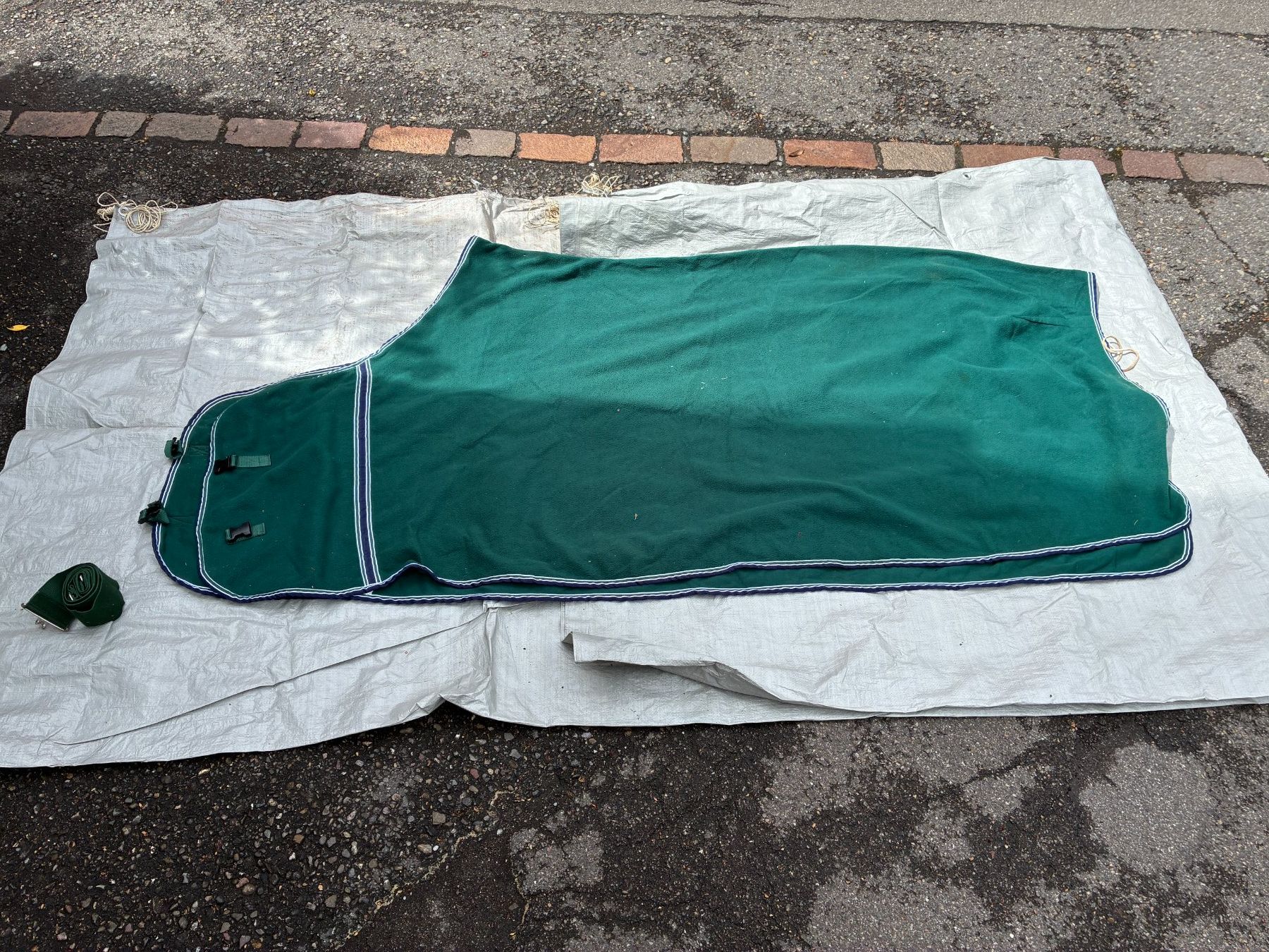 Coperte: Grüne Abschwitzdecke / Fleecedecke für Pferd mit Gurt – Usato da Zürich venduto da MaryLiine