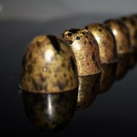 Honig-Pralinen - Handgemachte Pralinen, edle Schokolade