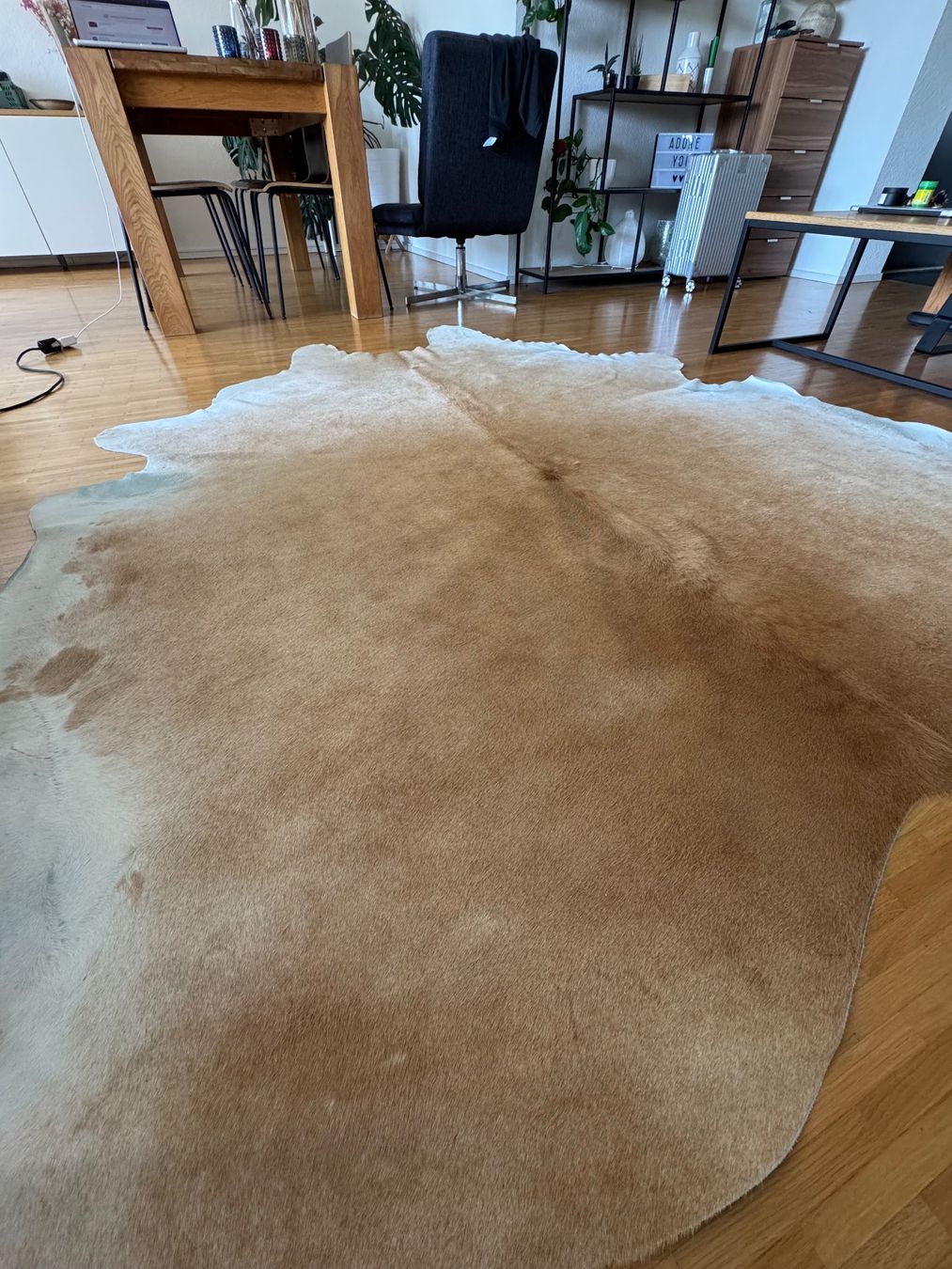 Tappeti: Schweizer Kuhfell, guter Zustand – Usato da Solothurn venduto da flo_27sl 1