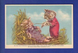 CHAT - Chat…touilleur