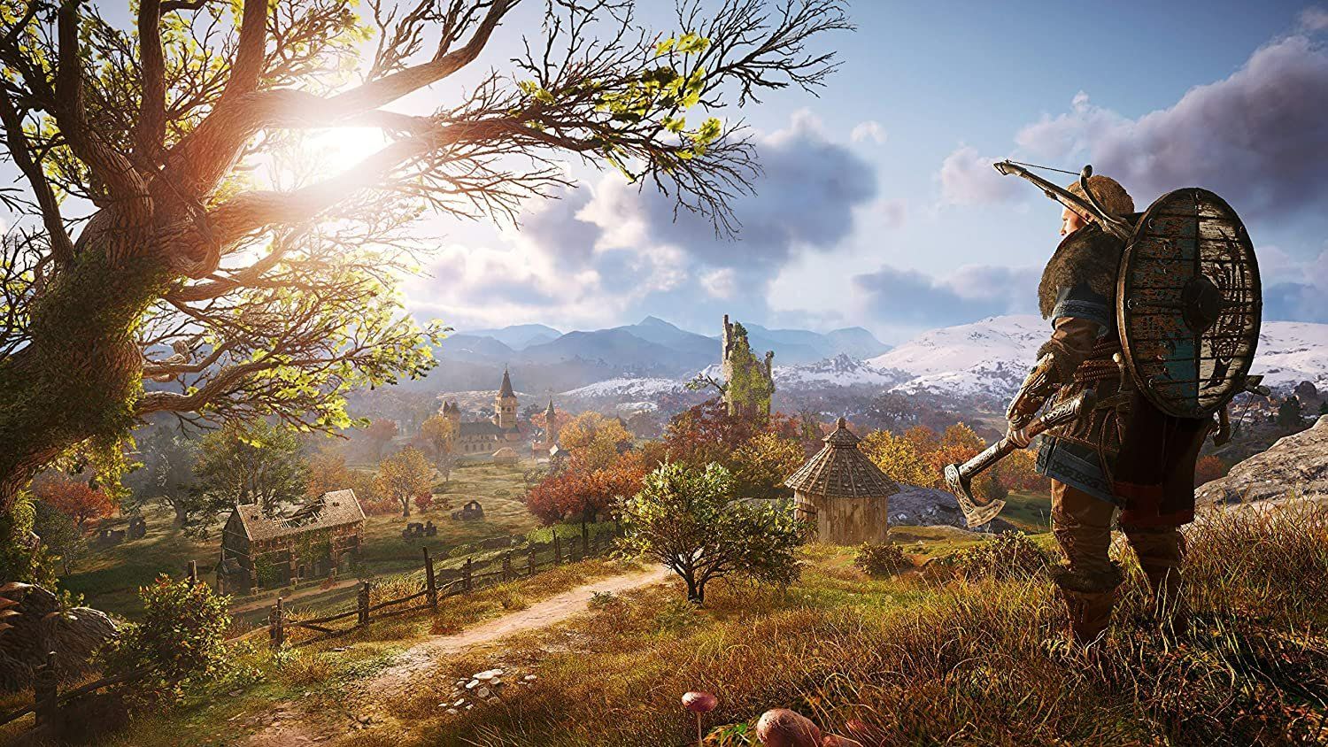 Sony Giochi: Assassin's Creed Valhalla Zeitalter der Wikinger  PS4 – Usato da Schüpfheim venduto da Games_Spielkonsolen 6