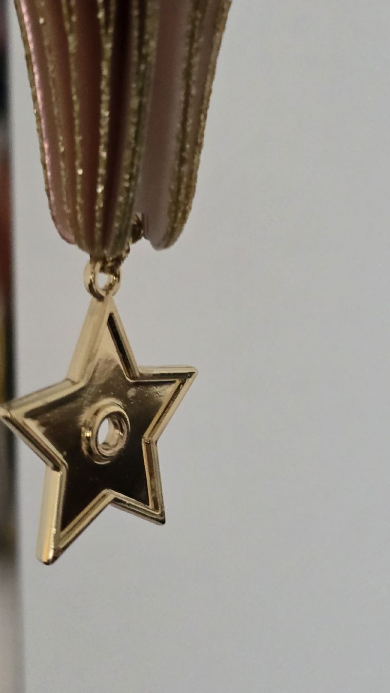 Dior Anhänger: Dior Weihnachtsbaum Anhänger – Neu (gemäss Beschreibung) aus wallisellen von funkelsternchen5 6