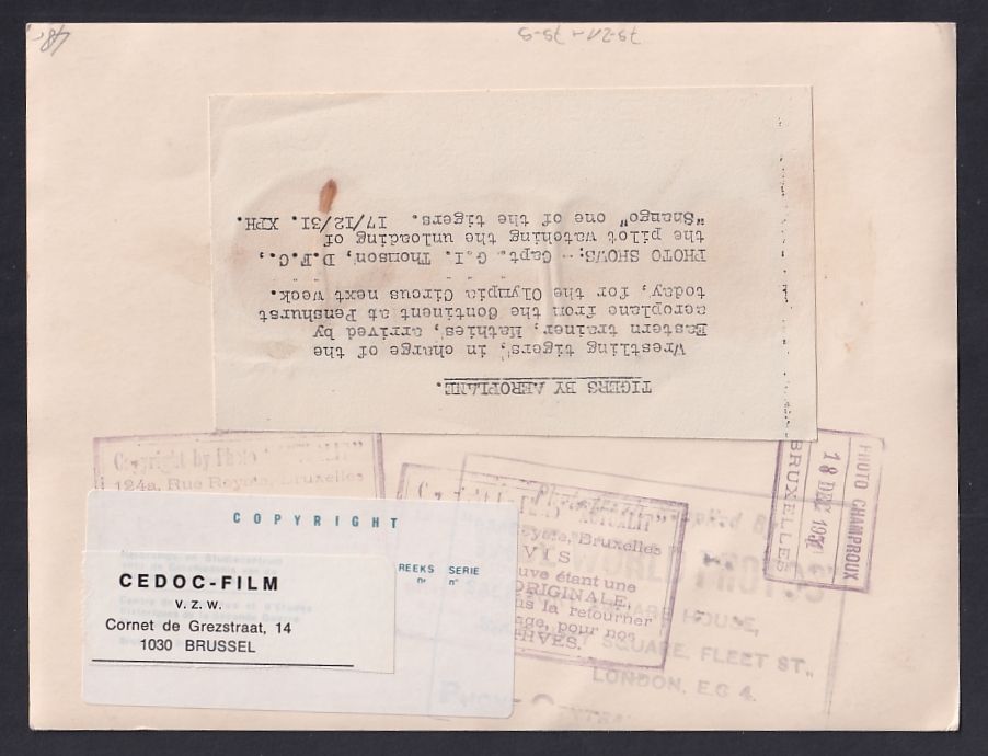Fotografie & Manifesti: Fotografie Pilot Capt. G. I. Thomson sch – Usato da Berlin venduto da bartko-reher 1