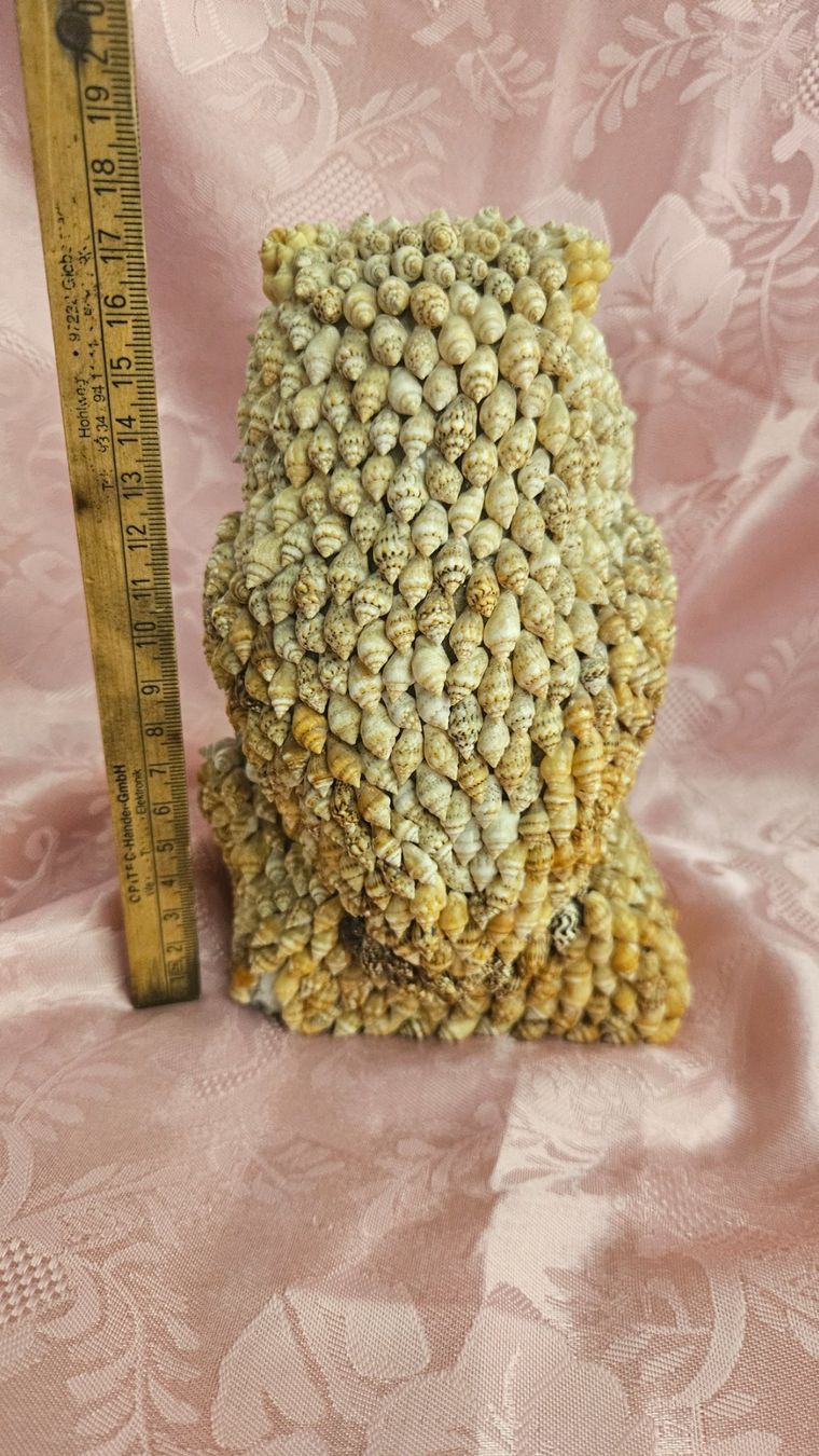 Statuette: Statua gufo realizzata con conchigliette – Usato da Melano venduto da H-Sara 1