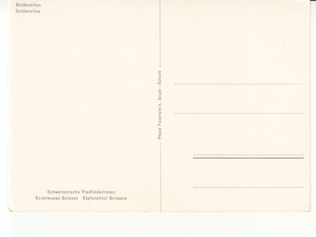 Cartoline postali: Soldanellen Pfadfinderinnen ca. 1970 – Usato da Bürglen TG venduto da StampGraf 1