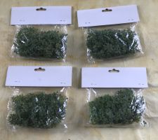 LOT WASSERPISTIA
