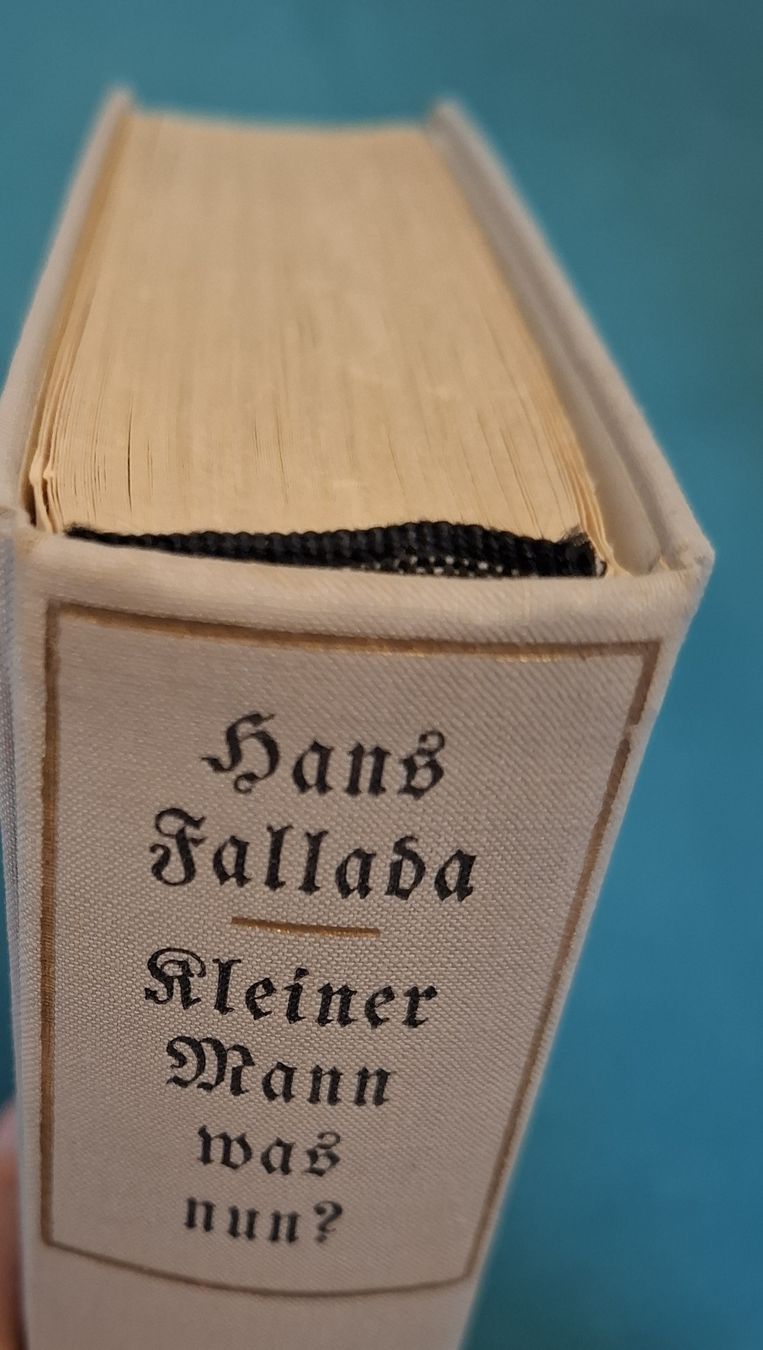 Bücher: Hans Fallada: Kleiner Mann - was nun? (1933) – Gebraucht aus Zürich von apf_b8zl 7