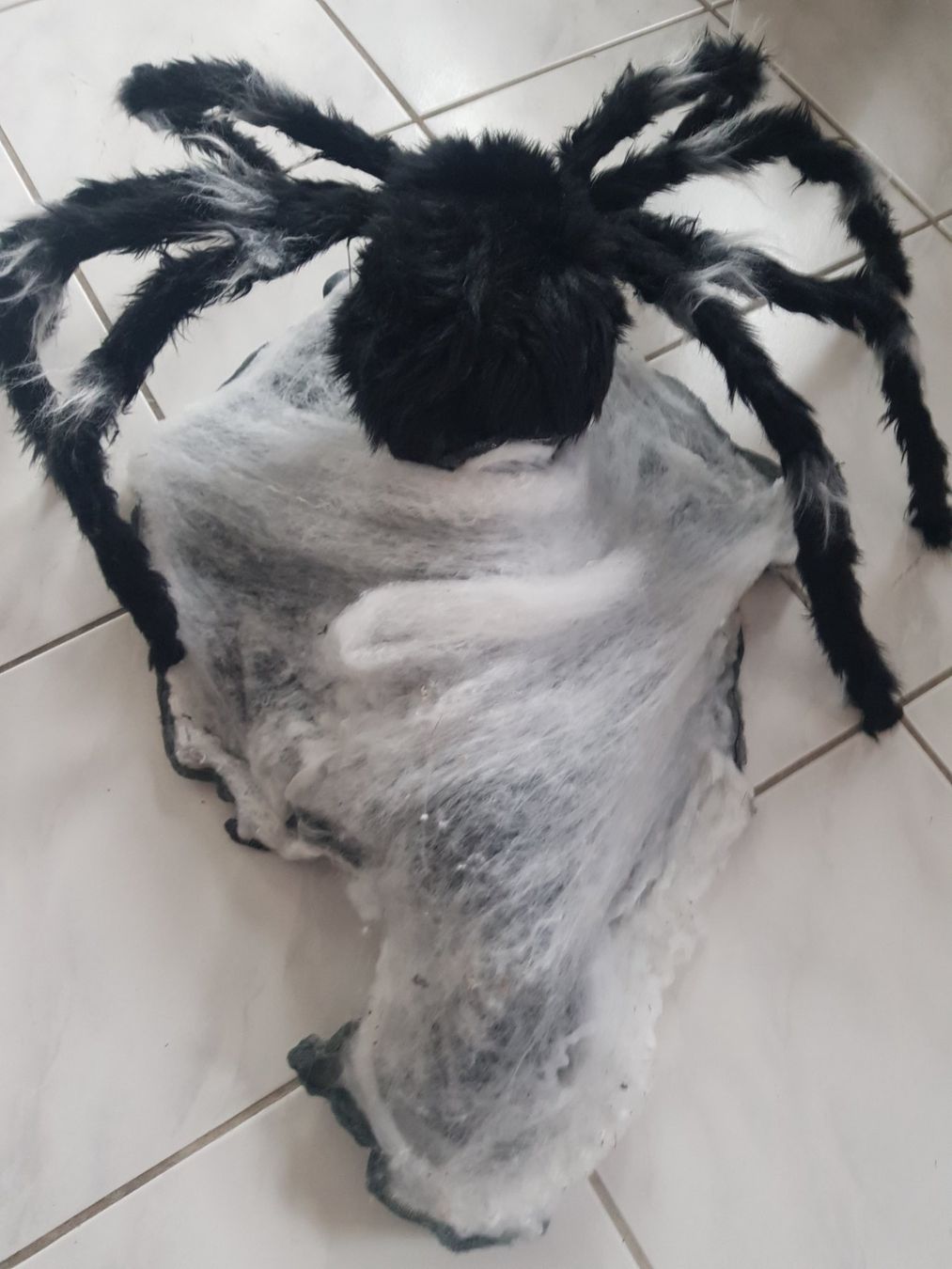 Tutte le decorazioni: HORROR/ HALLOWEEN GROSSE SPRINGSPINNE – Usato da Root venduto da LifestyleAccessoires 5