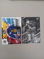 Eishockey-Karten Nussbaumer und Frehner neu