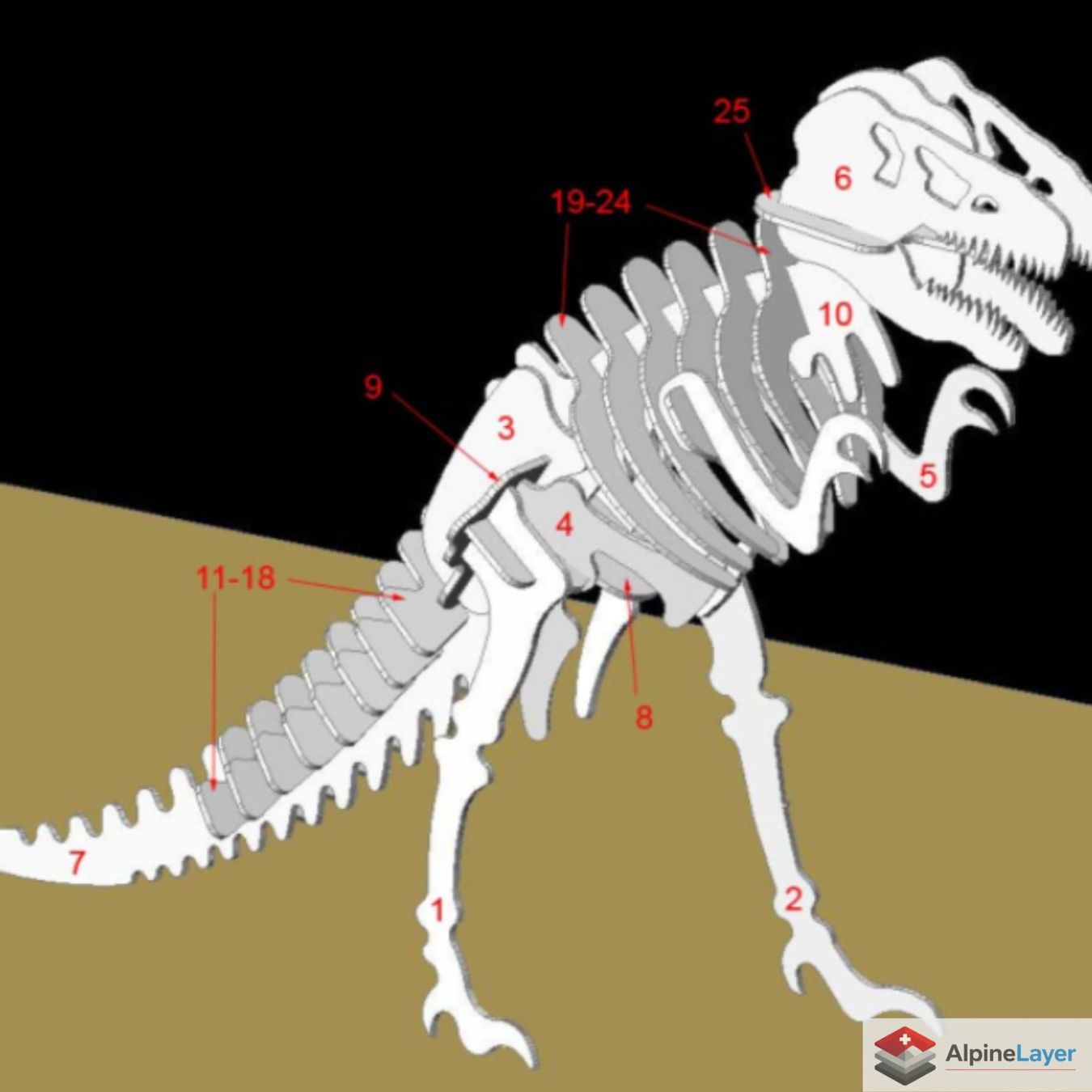Puzzle: T-Rex Skeleton Kit Card 3D Printed Puzzle White – Nuovo (secondo la descrizione) da Losone venduto da AlpineLayer 2