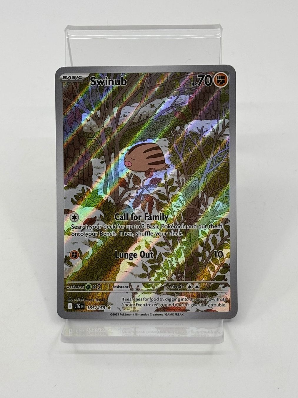 Pokémon Carte collezionabili: Pokemon Swinub 165/159 – Usato da Herisau venduto da Pokemon2026