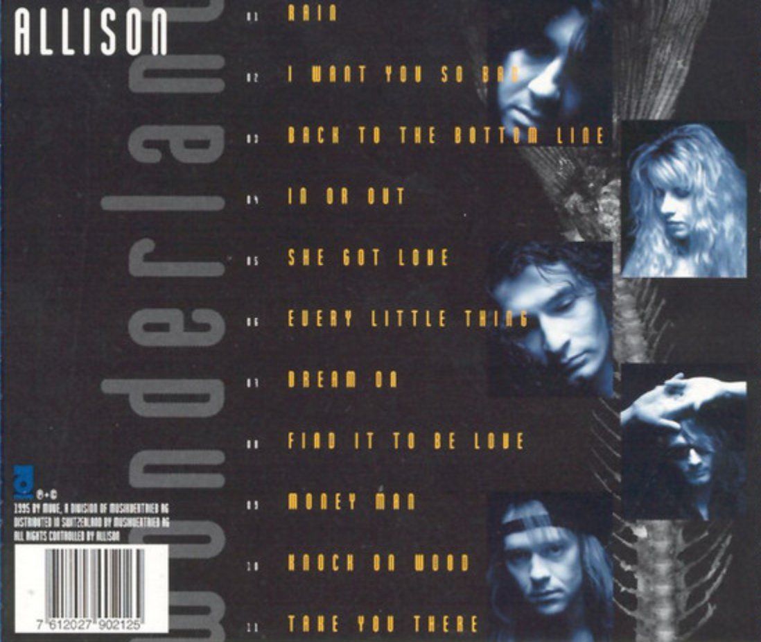 CD: Allison - Wonderland – Usato da Brunnen venduto da Barfly5 1