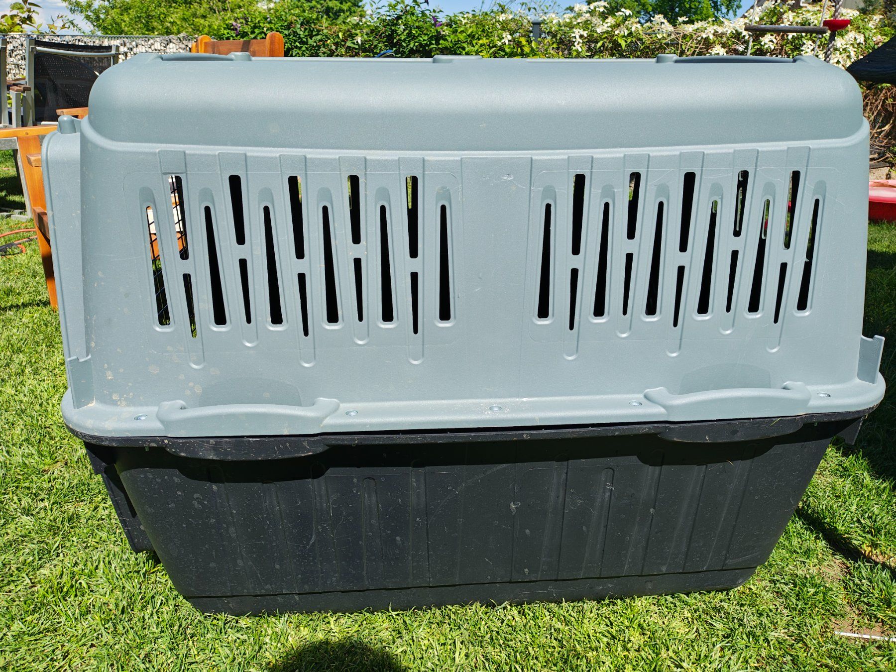 Cages, transport & sécurité: Transportbox Hund – D'occasion à Veltheim AG par GreatBarrierReef 3