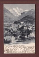 INTERLAKEN - Teil mit Jungfrau - Lagerbierkeller - 1905