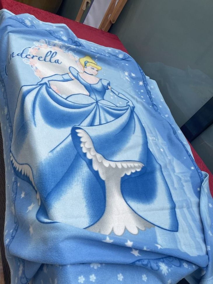 Disney Coperte: Disney Decke mit Cinderella  115x170cm – Usato da Bergdietikon venduto da antovale
