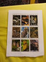 Superbe feuille de timbres hiboux d'Afghanistan, NEUF!