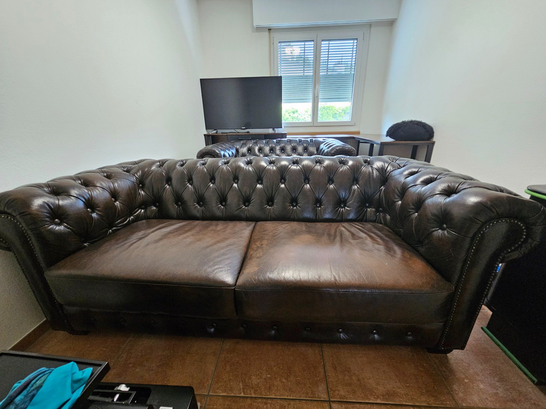 Divani: Chesterfield Sofa Büffelleder – Usato da Oberhasli venduto da lis_x6ll 1