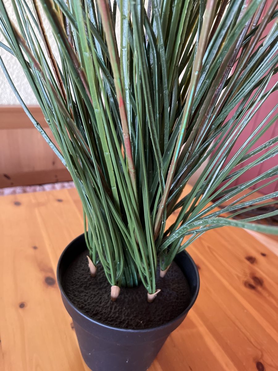 Ikea FEJKA Kunstpflanze Gras, 100cm hoch (Gebraucht) in Dbendorf fr CHF  10  nur Abholung auf Ricardo kaufen