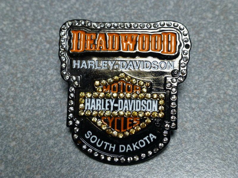 Placchette & Badge: PIN PINS HARLEY DAVIDSON HOG ABZEICHEN CHAPTER V-TWIN – Usato da Gränichen venduto da Jumbo77 2