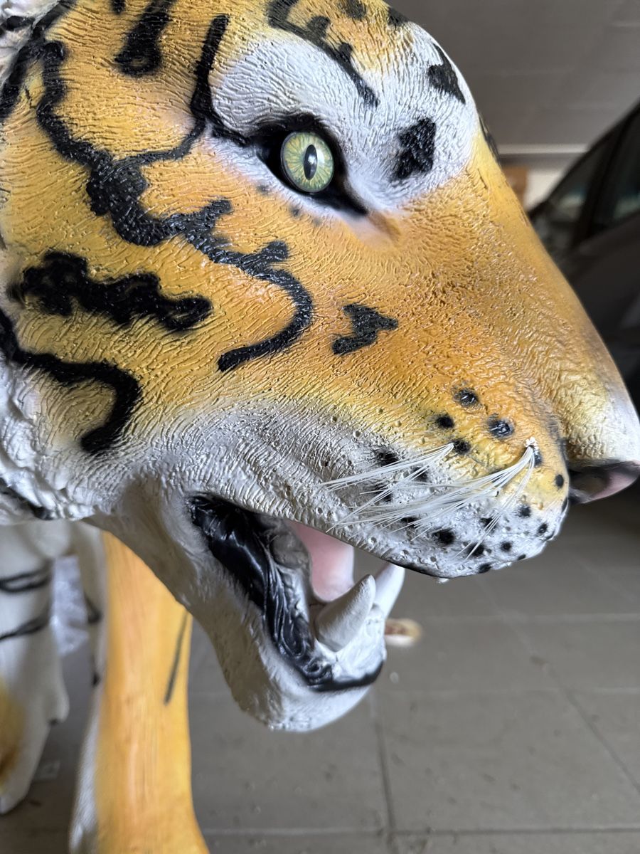 Statuette: Tiger Skulptur, Kunstharz, lebensgross – Usato da Kestenholz venduto da Swiss3DWerkstatt 4