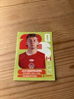 Panini 2026 CAN 14