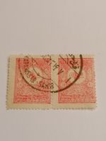 Osmanisches Reich 1901, Paar