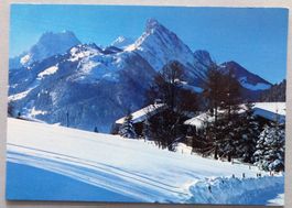 Schönried 1321 m