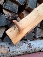 gut gelagertes Brennholz schnaeppchen