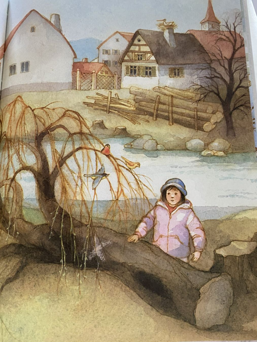 Bücher: Sahras Weide – Neu (gemäss Beschreibung) aus Sachseln von basti1950 3